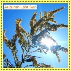 Autumn Last Sun
