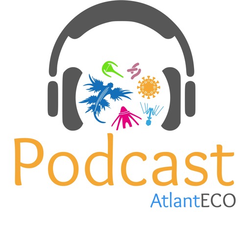 New podcast episode: an introduction to plastics and the plastisphere