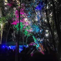 ANALOGIC PUMP - Set. Mandalas a Bordo, Encontro nas Margens, 7ª edição.