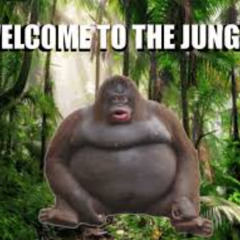 If I DJed in a jungle...