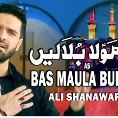 Bas Maula Bulalain _ Ali Shanawar _ 2024 - 1446.mp3