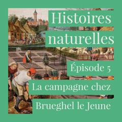 Episode 5 La campagne chez Brueghel le Jeune