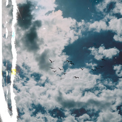 THUNDERBIRD! ϟ (prod. yikes)