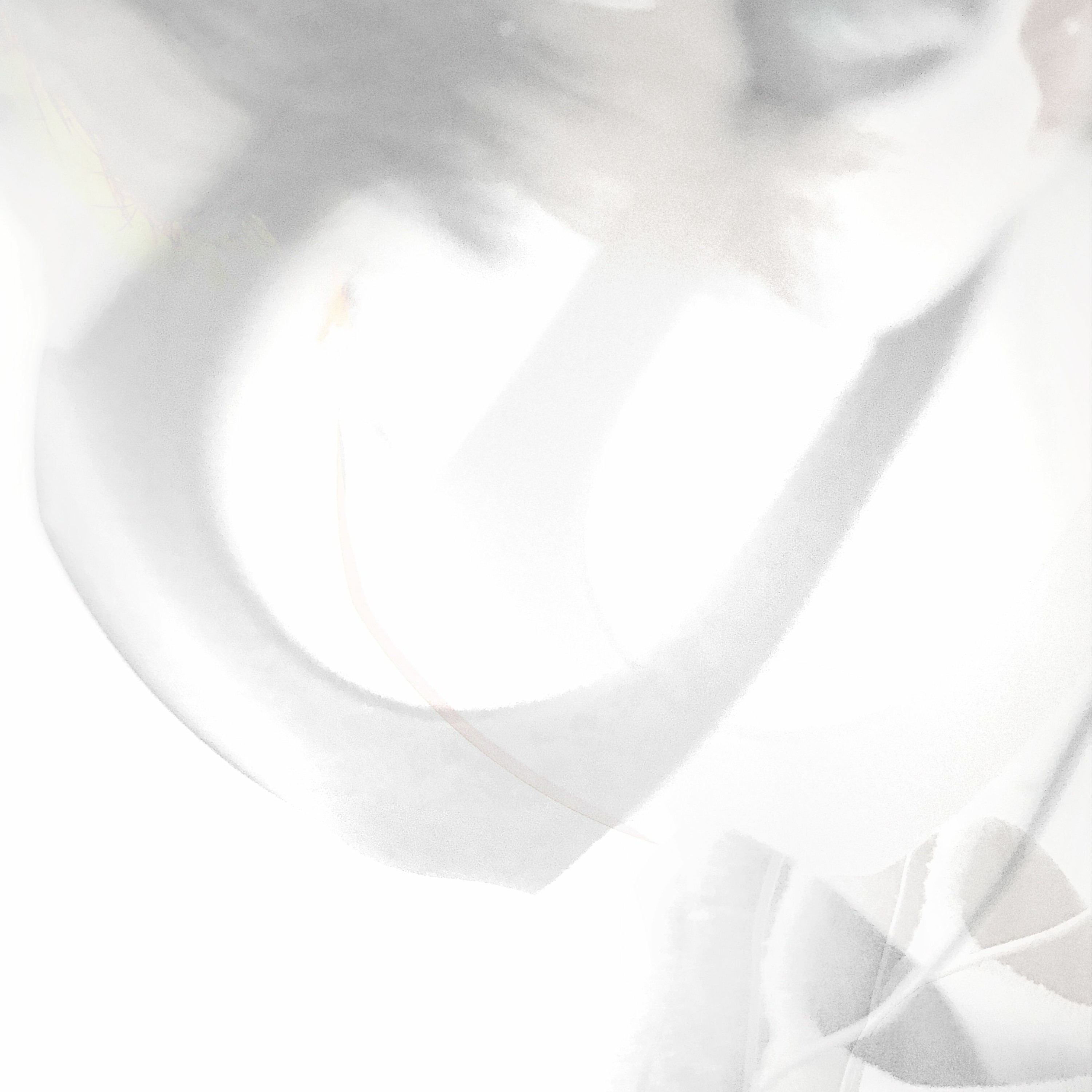 kaolu_euphony