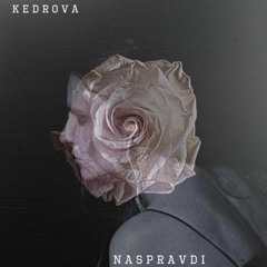 Naspravdi