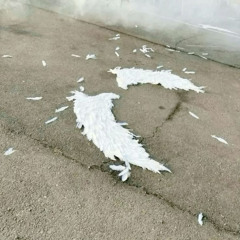 крылья