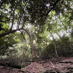 Just Give Me One More Time