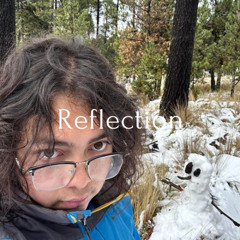 Reflection(Original Mix)