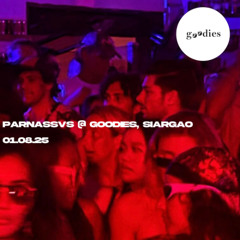 Parnassvs vs Luis del Carmen @ Goodies, Siargao (January 8, 2025)