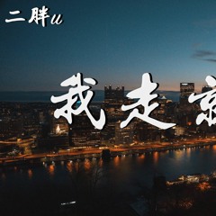 二胖u - 我走就是了「我好像一直都在放弃他，又好像一直都在等他」【動態歌詞/Lyrics Video】