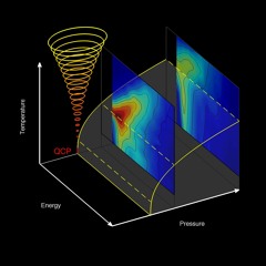 Quantum Fluctuations