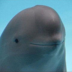 ***RECKLESS ABANDONMENT***