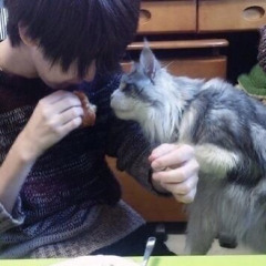 هاي تاليها صفت ؟