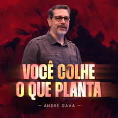 369. Você colhe o que planta (Gálatas 6:6-18)