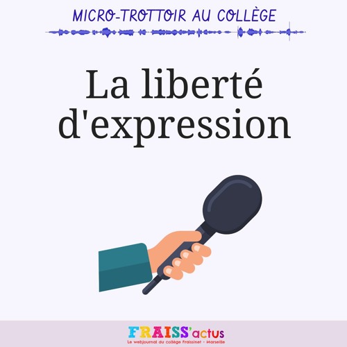 Stream Episode Micro Trottoir 1 La Liberte D Expression By Fraiss Actus Podcast Listen Online For Free On Soundcloud