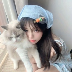 Đơn Phương Mình Anh - VH Remix .mp3