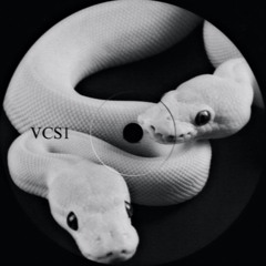 VCS1 - Fragment