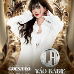 NST Tình Đầu Quá Chớn 2k24 - DJ Táo BaBie