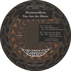 PersistentRain - You Are The Music