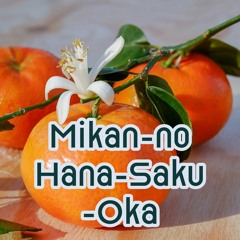 Mikan-no-Hana-Saku-Oka