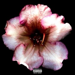 inluvwitit - that's cool