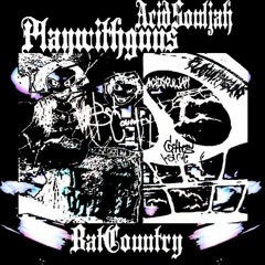 Acid Souljah x PlayWithGuns - Rolling [Bat Country OG]