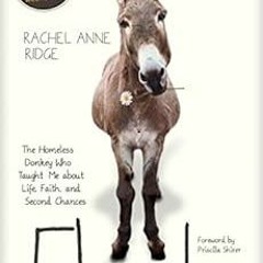 FREE EPUB 🗃️ Flash: The Homeless Donkey Who Taught Me about Life, Faith, and Second