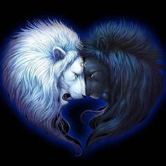 Djang3l - 26 - 9-2024