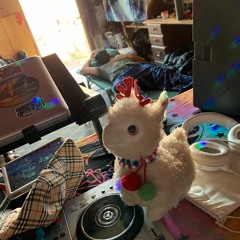 Vibez Vol. 11 - Rebirth the Vibez