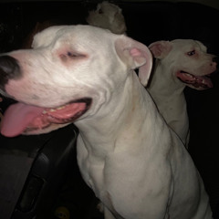 K1NGSOUL X LOSGORDOS - GODSPEED (PROD. BY SLUGSKII)