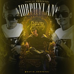 MORPHYLAND (VIP EDITION)