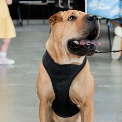 House Winter 2021 DJ Mark Bambach