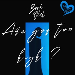 Berk Ocal - Are You Too High?