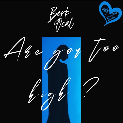 Berk Ocal - Are You Too High?