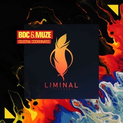 BDC X Muze - Celestial Coordinates