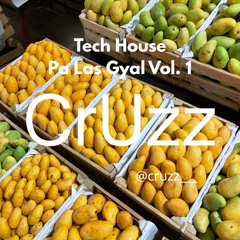 Tech House Pa Las Gyal Vol. 1 | CrUzz Dj Live Set April 2025