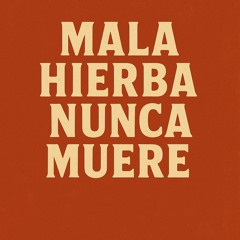 MALA HIERBA NUNCA MUERE .mp3