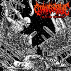 SLAMMING BRUTAL DEATH METAL - 2