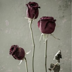 Tomorrow Might Not Come