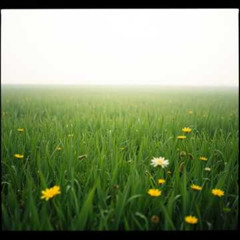 Dj.DamianR - Grace Like Rain (inspired by the poem of Roma Lemańska)