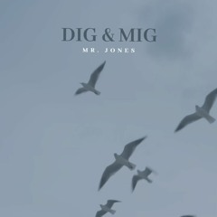 Mr. Jones - Dig & Mig