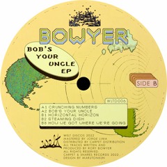 PREMIERE: Bowyer - How We Got Where We're Going [Welt Discos ]