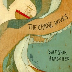 Hole in the Silver Lining - the crane wives