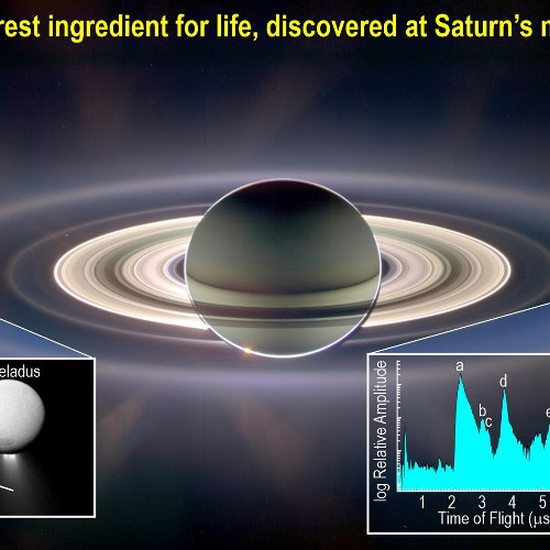 Palm Pact - Saturns Rings Ft Ryan Rev, Bomber & Euphemistic (Prod. @7spellz)