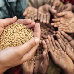 War and Hunger