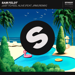 Just To Feel Alive (feat. JRM) (Remix)