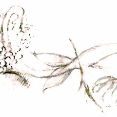 Gayatri Mantra (versión corta)