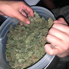 NO PUEDO FLAQUEAR    wzx.