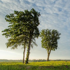 Peace with and without a cause - Part 2