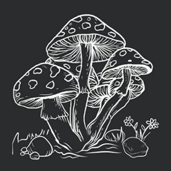 Moksha